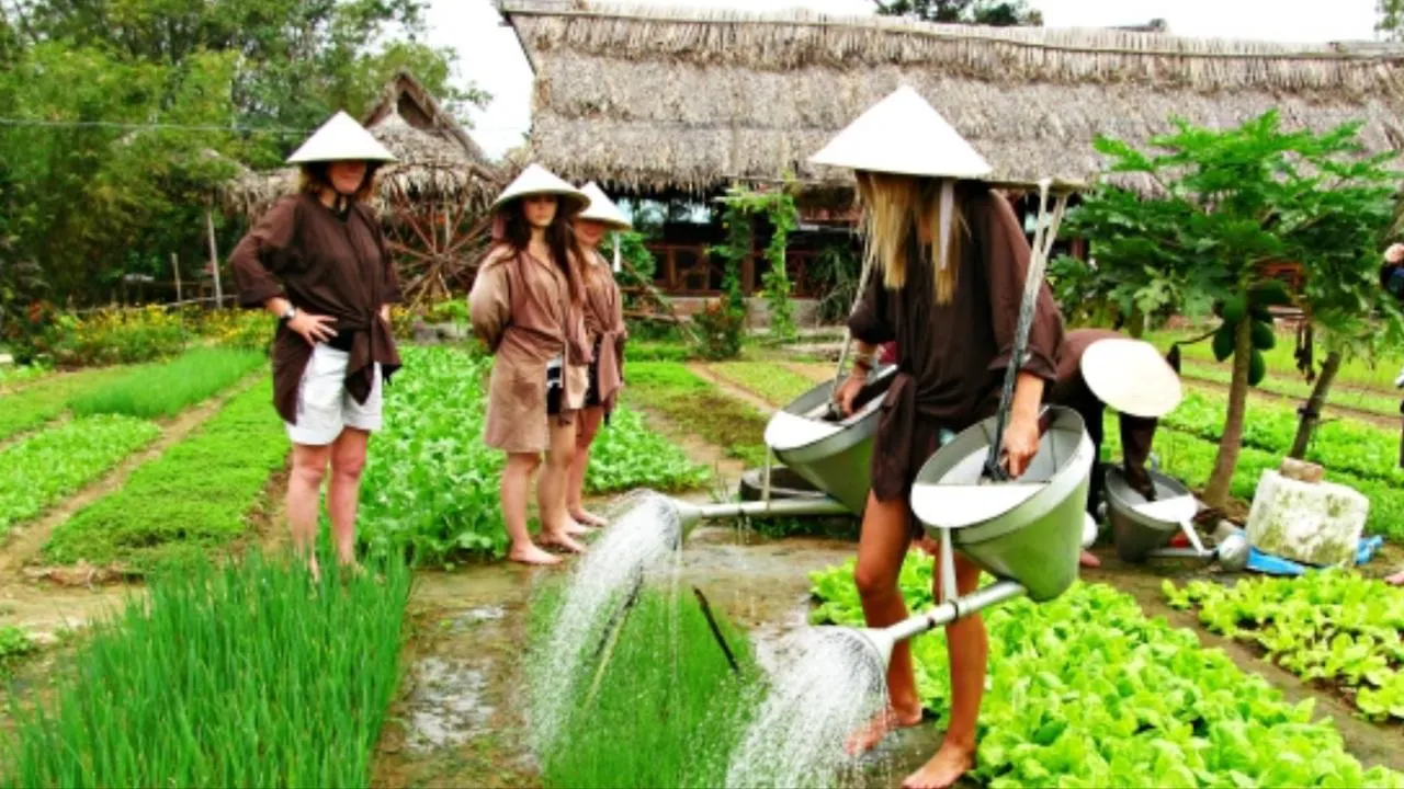 Hotel Hoi An Discovery Villa